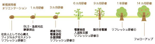 新人看護職員指導体制流れ